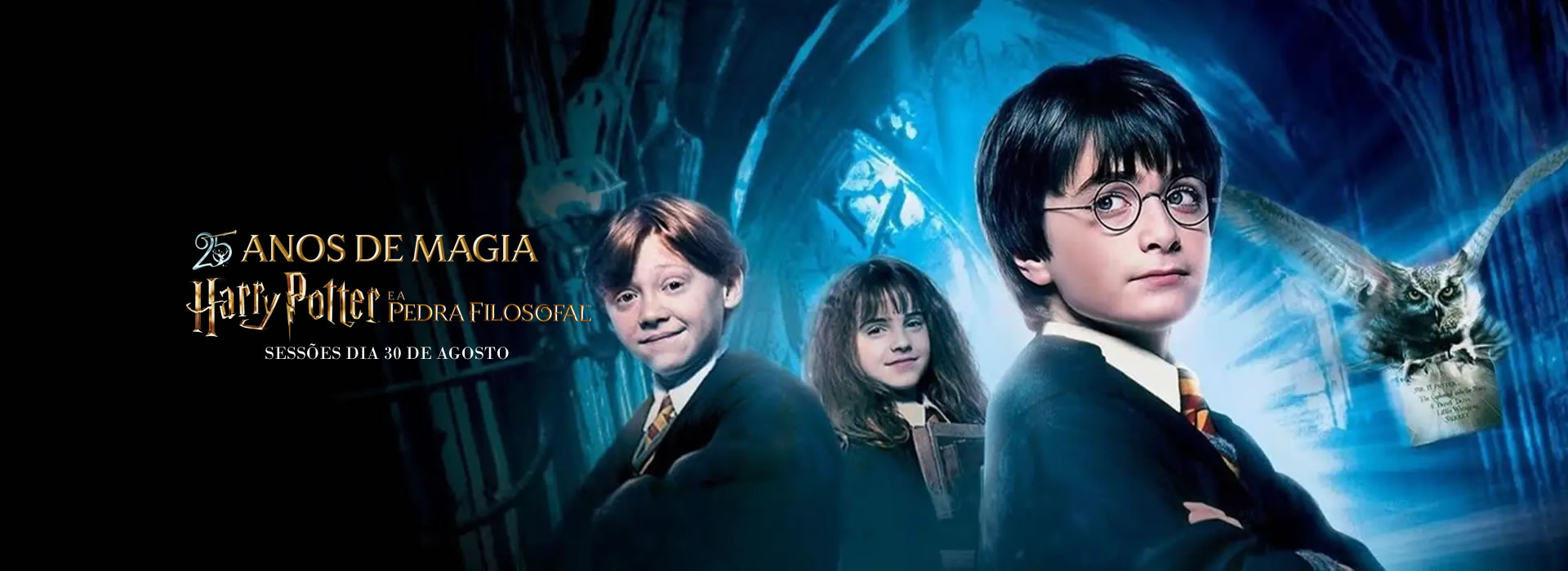 slide-harry-potter
